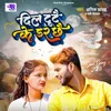 About Dil Tute Ke Dar Chao Song